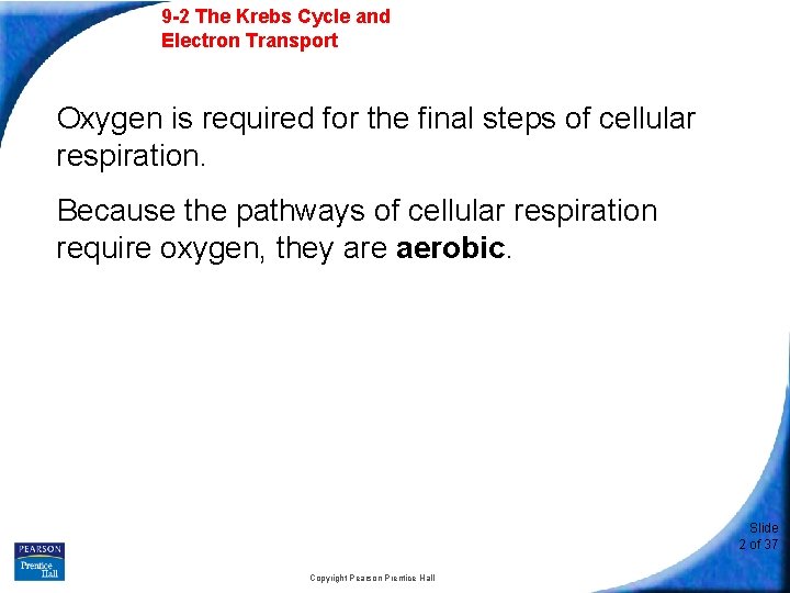 9 -2 The Krebs Cycle and Electron Transport Oxygen is required for the final