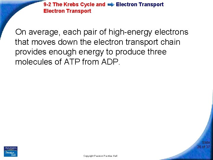 9 -2 The Krebs Cycle and Electron Transport On average, each pair of high-energy
