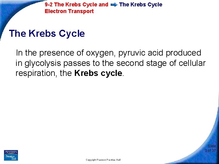 9 -2 The Krebs Cycle and Electron Transport The Krebs Cycle In the presence