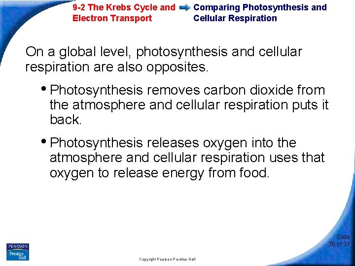 9 -2 The Krebs Cycle and Electron Transport Comparing Photosynthesis and Cellular Respiration On