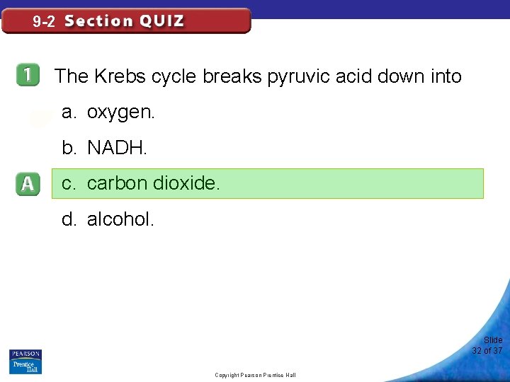 9 -2 The Krebs cycle breaks pyruvic acid down into a. oxygen. b. NADH.