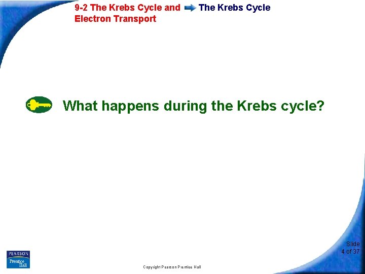 9 -2 The Krebs Cycle and Electron Transport The Krebs Cycle What happens during