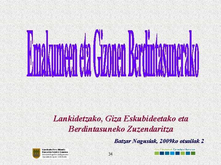 Lankidetzako, Giza Eskubideetako eta Berdintasuneko Zuzendaritza Batzar Nagusiak, 2009 ko otsailak 2 34 