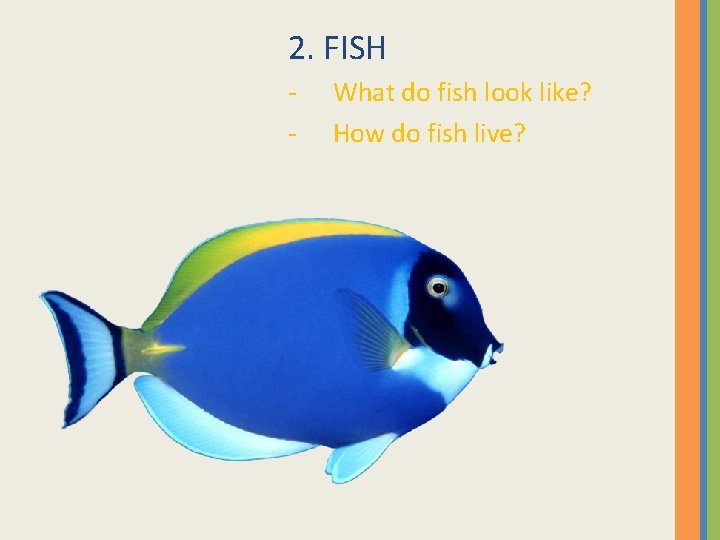 2. FISH - What do fish look like? How do fish live? 