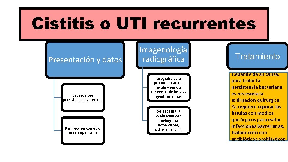 Cistitis o UTI recurrentes Presentación y datos Causada por persistencia bacteriana Reinfección con otro