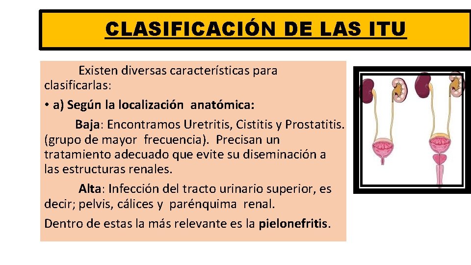 CLASIFICACIÓN DE LAS ITU Existen diversas características para clasificarlas: • a) Según la localización