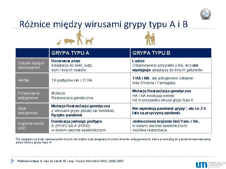 Różnice między wirusami grypy typu A i B GRYPA TYPU A GRYPA TYPU B