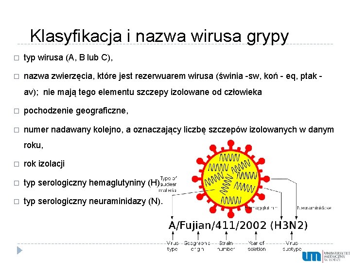 Klasyfikacja i nazwa wirusa grypy � typ wirusa (A, B lub C), � nazwa