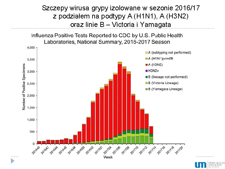 Szczepy wirusa grypy izolowane w sezonie 2016/17 z podziałem na podtypy A (H 1