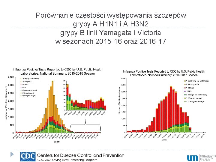 Porównanie częstości występowania szczepów grypy A H 1 N 1 i A H 3