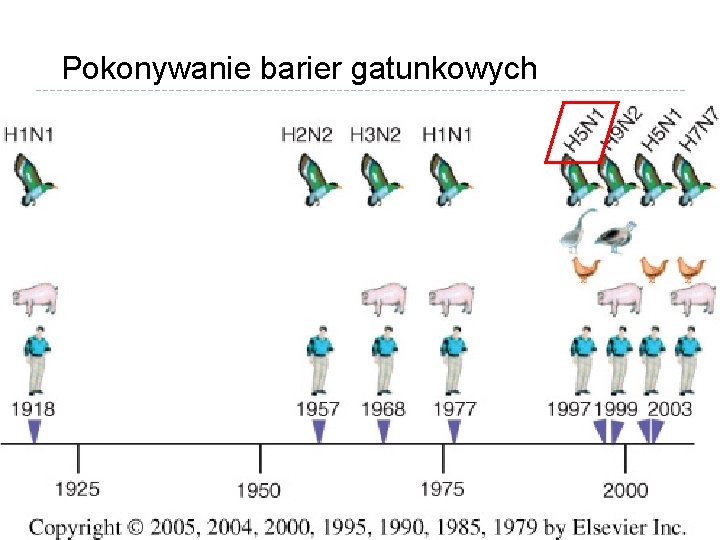 Pokonywanie barier gatunkowych 