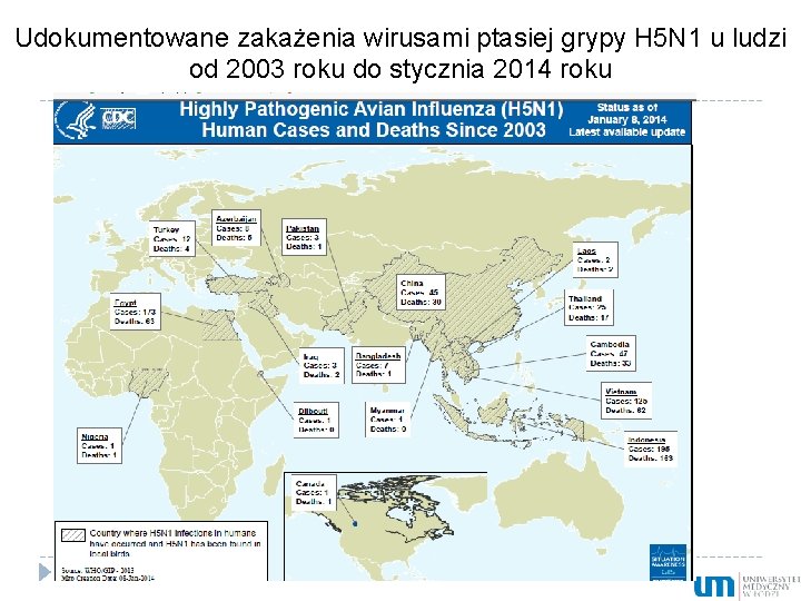 Udokumentowane zakażenia wirusami ptasiej grypy H 5 N 1 u ludzi od 2003 roku