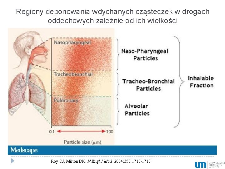 Regiony deponowania wdychanych cząsteczek w drogach oddechowych zależnie od ich wielkości Roy CJ, Milton