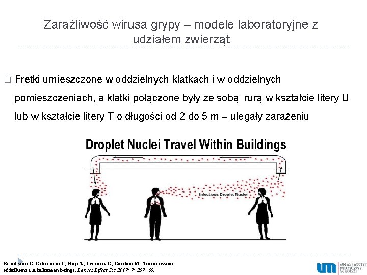 Zaraźliwość wirusa grypy – modele laboratoryjne z udziałem zwierząt � Fretki umieszczone w oddzielnych