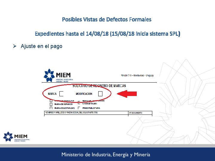 Posibles Vistas de Defectos Formales Expedientes hasta el 14/08/18 (15/08/18 inicia sistema SPL) Ø