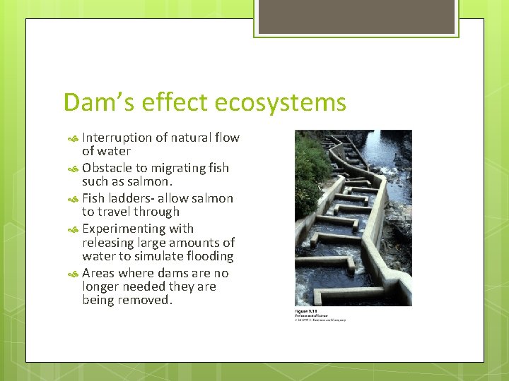 Dam’s effect ecosystems Interruption of natural flow of water Obstacle to migrating fish such