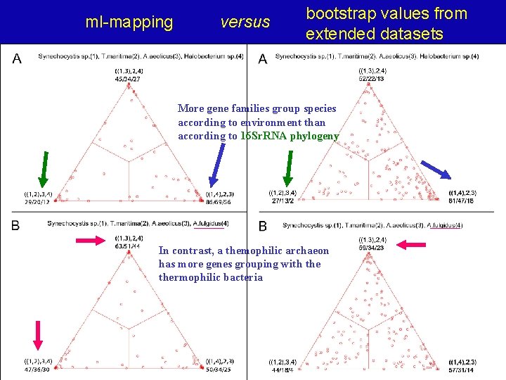 ml-mapping versus bootstrap values from extended datasets More gene families group species according to