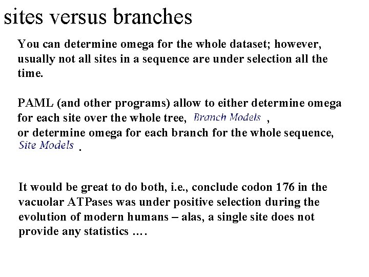sites versus branches You can determine omega for the whole dataset; however, usually not