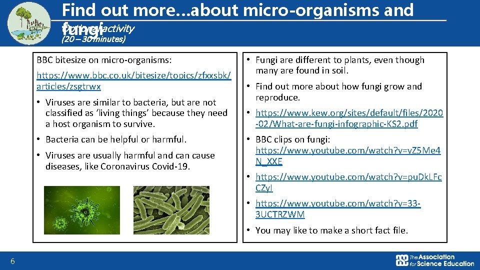 Logo for section to sit inside roundel Find out more…about micro-organisms and Optional activity