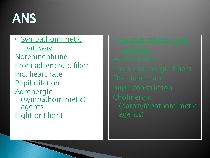 ANS Sympathomimetic pathway Norepinephrine From adrenergic fiber Inc. heart rate Pupil dilation Adrenergic (sympathomimetic)