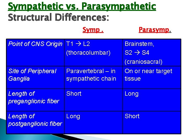 Sympathetic vs. Parasympathetic Structural Differences: Symp. Parasymp. Point of CNS Origin T 1 L