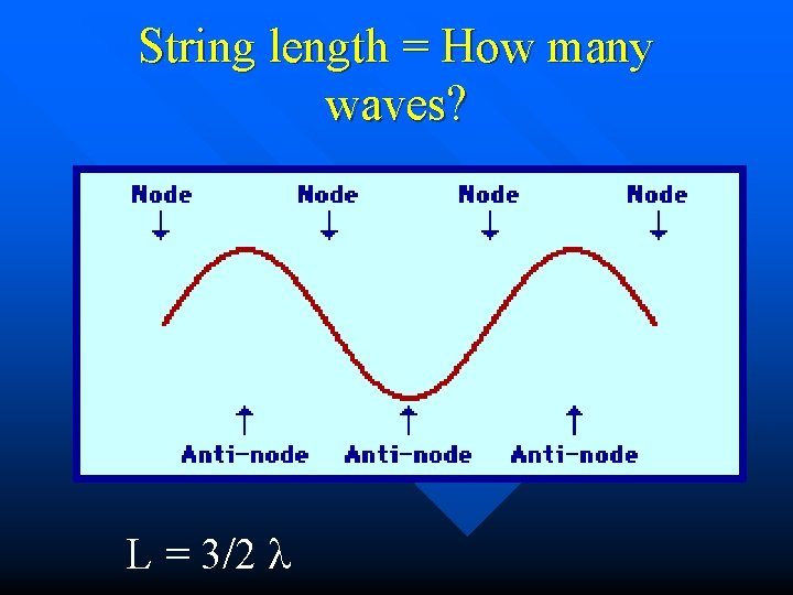 String length = How many waves? L = 3/2 l 