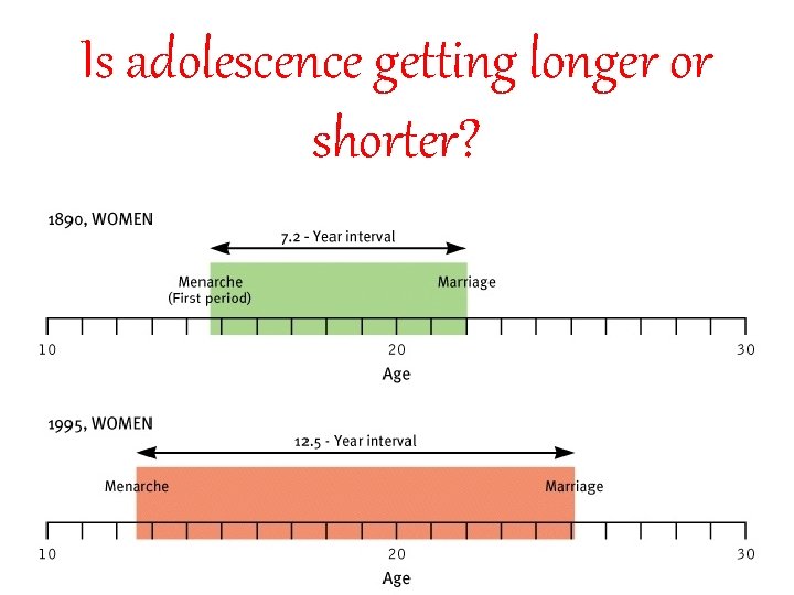 Is adolescence getting longer or shorter? 