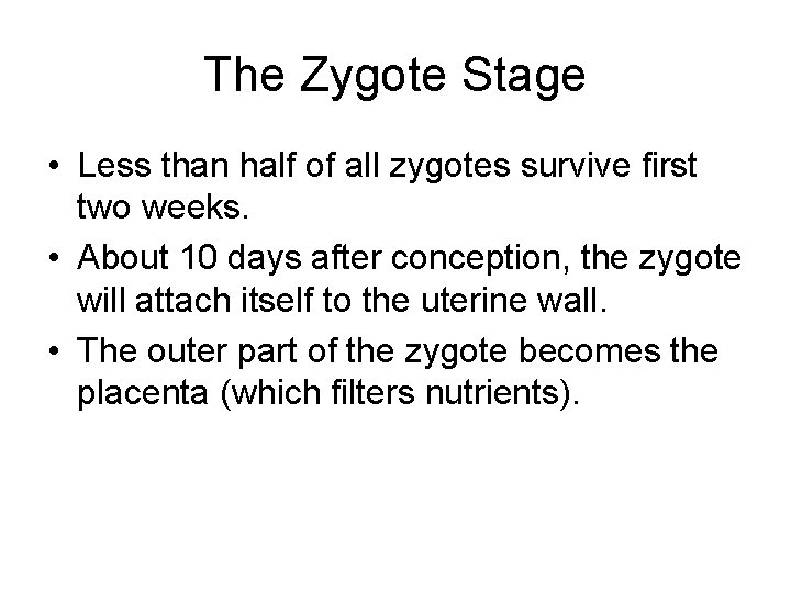 The Zygote Stage • Less than half of all zygotes survive first two weeks.