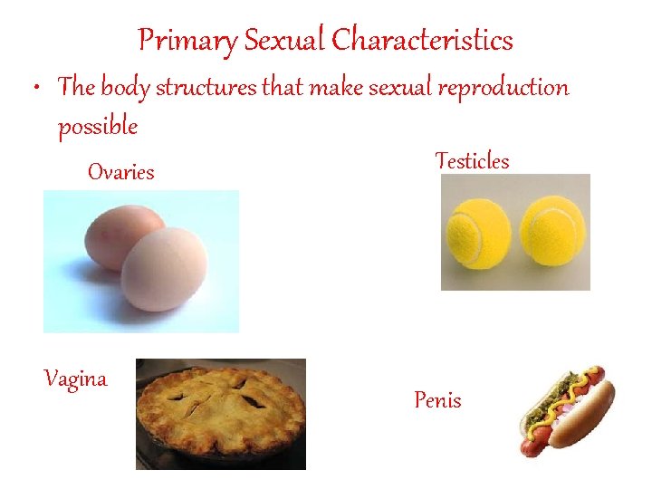 Primary Sexual Characteristics • The body structures that make sexual reproduction possible Ovaries Vagina