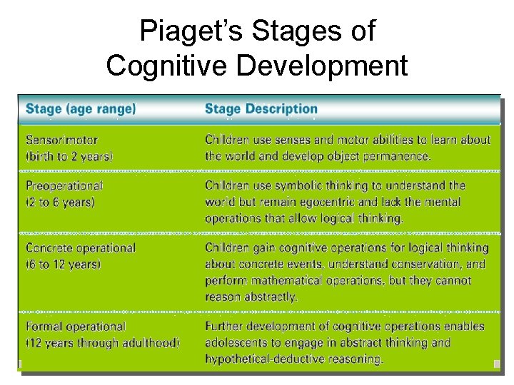 Piaget’s Stages of Cognitive Development 