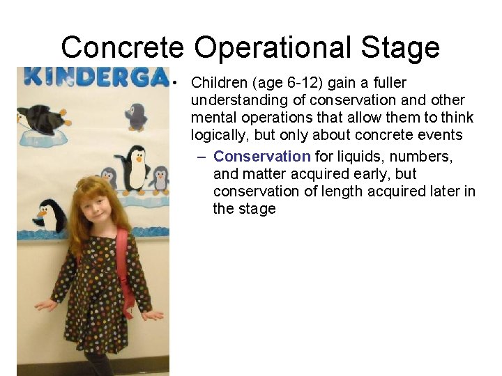 Concrete Operational Stage • Children (age 6 -12) gain a fuller understanding of conservation