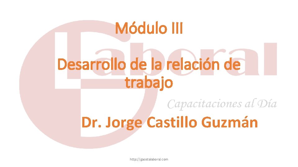 Módulo III Desarrollo de la relación de trabajo Dr. Jorge Castillo Guzmán http: //gacetalaboral.