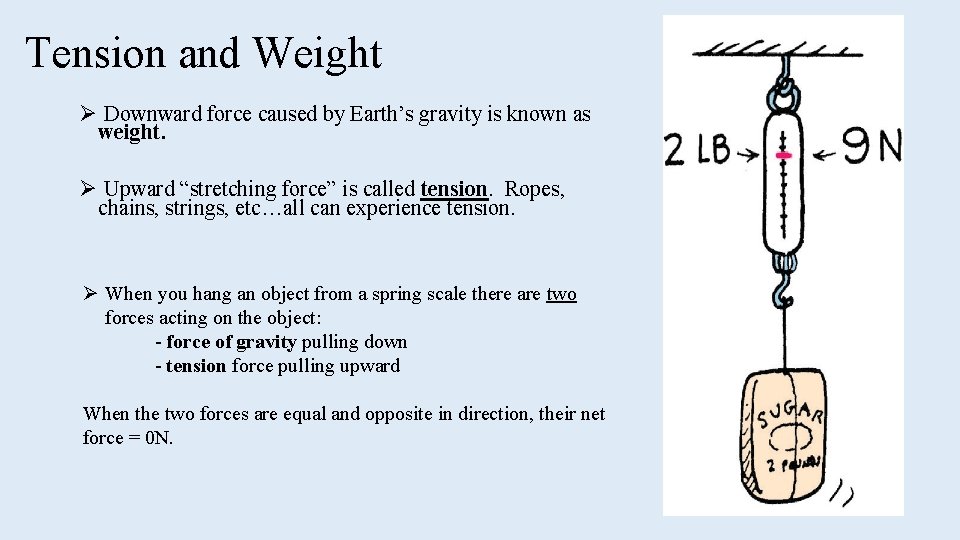 Tension and Weight Ø Downward force caused by Earth’s gravity is known as weight.