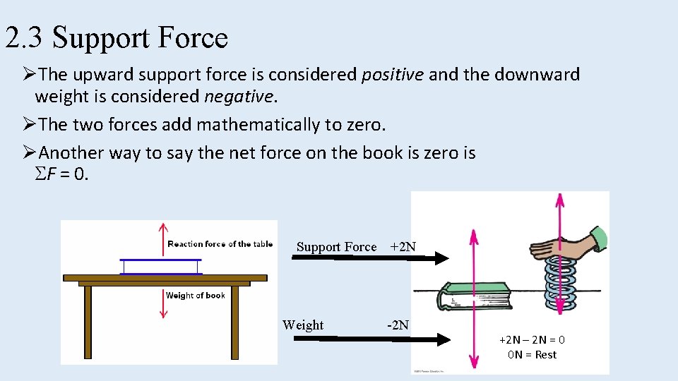 2. 3 Support Force ØThe upward support force is considered positive and the downward