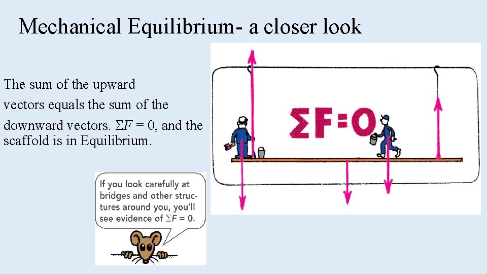 Mechanical Equilibrium- a closer look The sum of the upward vectors equals the sum