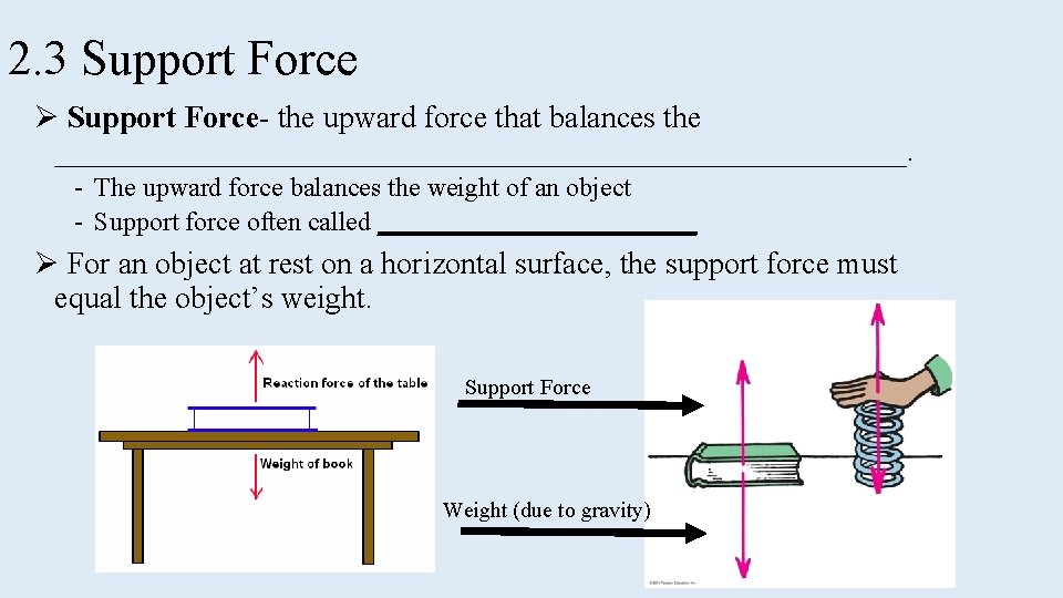 2. 3 Support Force Ø Support Force- the upward force that balances the ____________________________.
