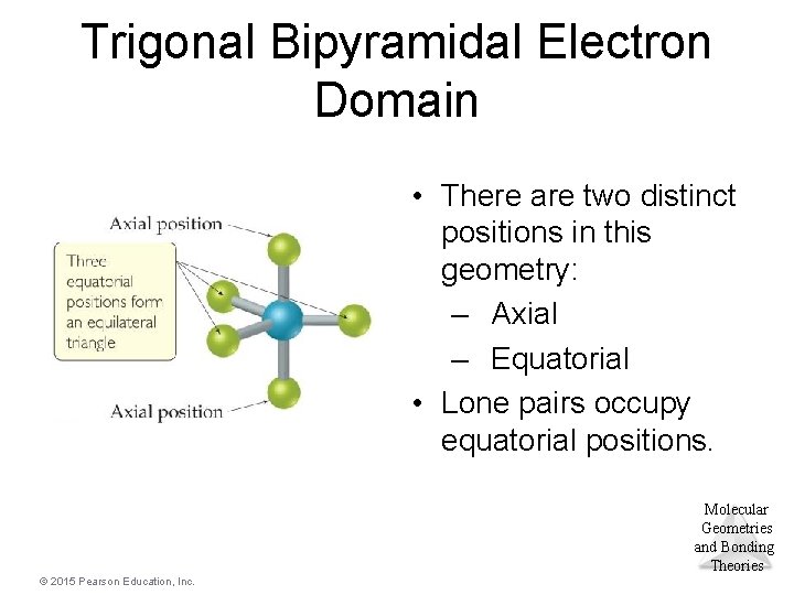 Trigonal Bipyramidal Electron Domain • There are two distinct positions in this geometry: –