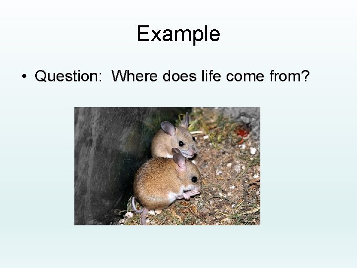 Example • Question: Where does life come from? 