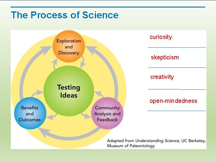 The Process of Science curiosity skepticism creativity open-mindedness 