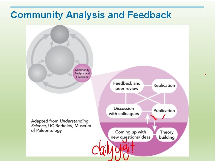 Community Analysis and Feedback 