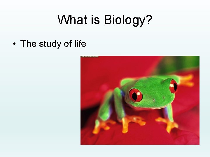 What is Biology? • The study of life 
