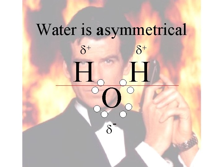 Water is asymmetrical + O - H + H 