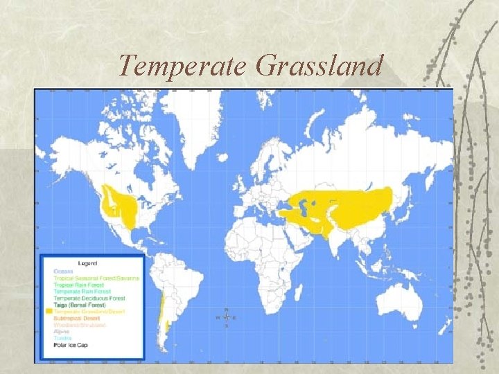 Temperate Grassland 