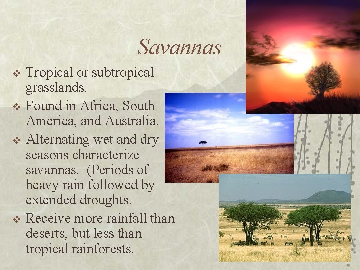Savannas v v Tropical or subtropical grasslands. Found in Africa, South America, and Australia.