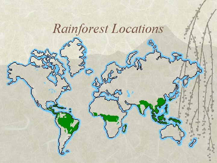 Rainforest Locations 