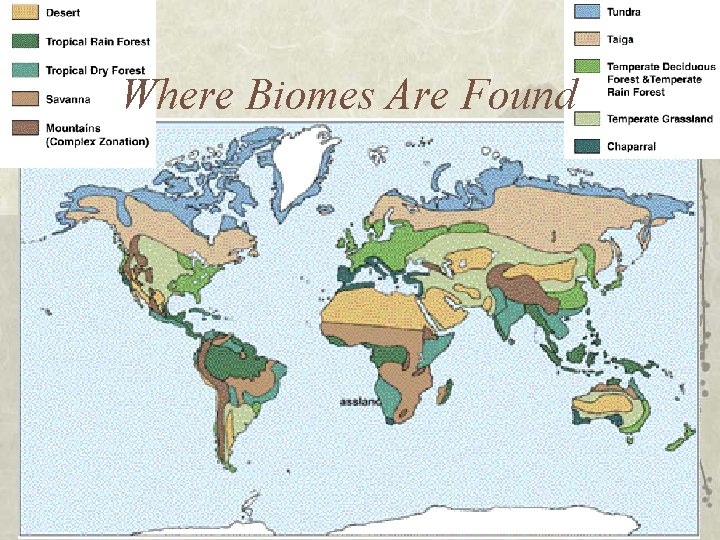 Where Biomes Are Found 