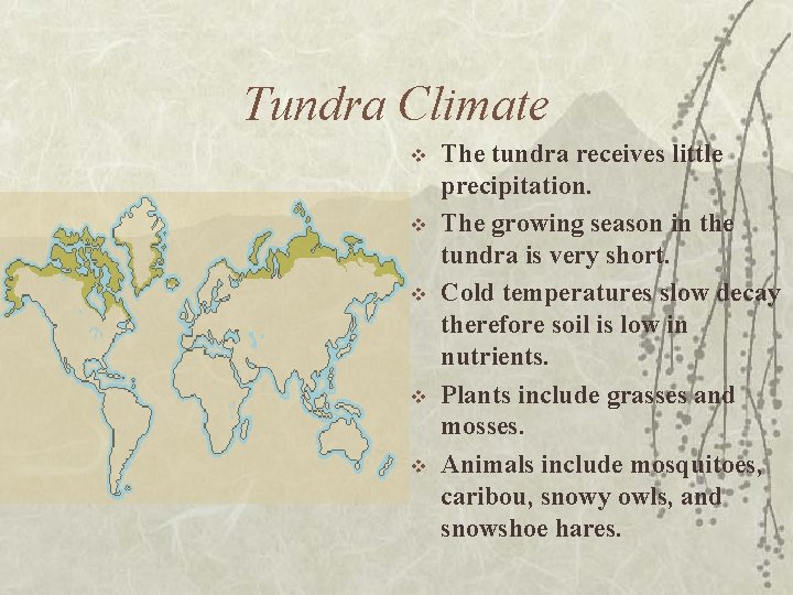 Tundra Climate v v v The tundra receives little precipitation. The growing season in
