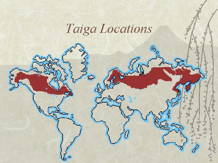Taiga Locations 