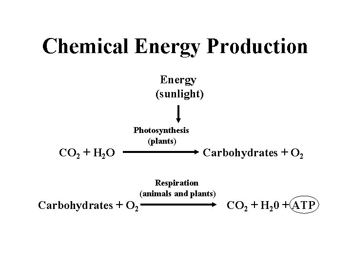 Chemical Energy Production Energy (sunlight) Photosynthesis (plants) CO 2 + H 2 O Carbohydrates