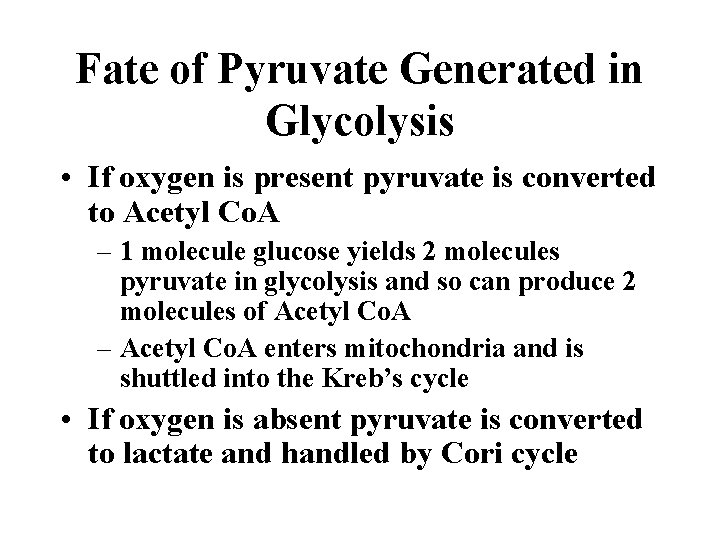 Fate of Pyruvate Generated in Glycolysis • If oxygen is present pyruvate is converted